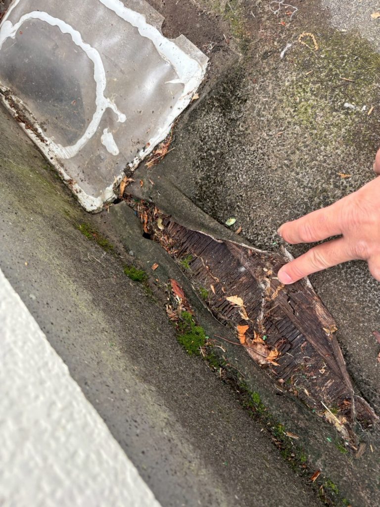 めくれた床材の下地